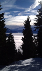 IMAG0046