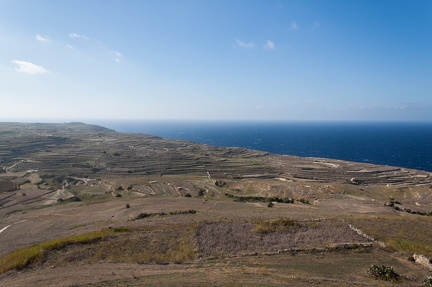 IMG 0352